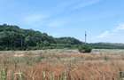 Teren Corbeanca – Balotești, 35.000 mp, lângă pădure și nodul rutier A0. - 4