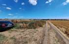 Teren de vanzare intravilan 5000mp localitatea Lazu - 2