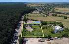 Vanzare teren intravilan 5000 mp Snagov Ciofliceni - 12