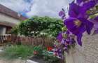 Casa cu vatra traditionala, gradina, garaj, facilitati, Codlea, Brasov - 31