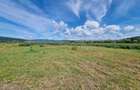 Teren extravilan 5.000 mp în Barabant | Deschidere 48 ml la stradă - 1