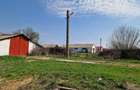 Fermă de vânzare 8 ha – Balș, județul Olt - 7