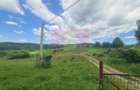 Teren intravilan de vanzare in Breaza (dezvoltare imobiliara) - 3