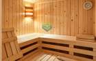 Luxury Garden | Domenii | Private Spa | 230 sqm Garden | 3 Parking - 15