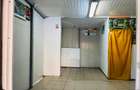 Spatiu comercial stradal, pozitie strategica – N. Balcescu, zona Piata Centrala - 13