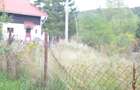 Teren intravilan situat in Busteni-Valea Alba - 7
