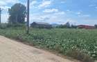 Vand teren 1.5 ha intravilan industrial Halchiu - 10