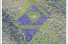 🗺️ Teren împădurit 20.720 mp (2,07 ha) – malul Lacului Cinciș ✨ - 5