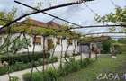 Casa 4 Camere + Teren (6500mp) si Anexe, Turcinesti - 3