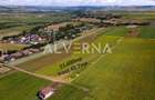 INVESTITIE! Teren constructii 11.600 mp | front 45.7m | Jucu de Sus - 1