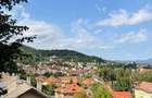 APARTAMENT 3 CAMERE DE INCHIRIAT - DEALUL CETATII - 1