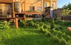 Casa I Vila cu 5 Apartamente - 300MP I Teren 345MP - Zorilor I Hasdeu