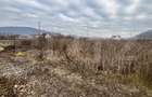 Teren intravilan, 10 ari, ideal pentru casa/hala, zona Sarata - 2