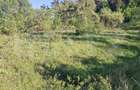 Teren extravilan de vanzare, 10.000 mp, in Valea Zizinului - 3