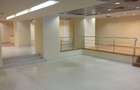 Spatiu comercial - Carol 445mp parter ideal banca sau clinica - 2