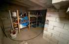 URGENT- ZONA  ALEXANDRU CEL BUN VILA P+1 ,TEREN 280 MP - 14