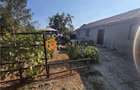 Casa tip parter zona Jorasti - 11