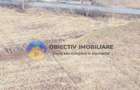 TEREN intravilan 3035 mp – BODEȘTI, judetul Neamț - 1
