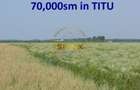 Teren Titu Dâmbovița 7 ha - 1