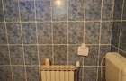 CASA cu anexa si spatiu comercial – de vanzare in BEIUS - 27