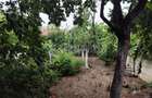 Casa veche zona Bogdanestilor cu teren 1033mp - 3