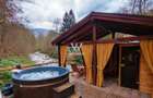 Cabana / Casa de vacanta pe Transfagarasan - Sibiu - 4