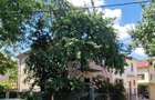 CASA /VILA str. Ana Ipatescu - 22