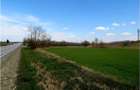 Teren 12.400 MP | 180 ml deschidere E85 | Pătrăuți | 70.000€ - 7