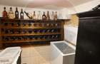 Vila de vanzare si teren 1634mp in Viile Noi - 11