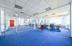 Birou de inchiriat, Taietura Turcului, 600mp, Comision 0% - 4