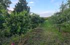 Teren d e vanzare 14000 mp , ultracentral Odobesti - 3