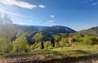 Teren 1,798mp Pestera /  acces din Strada Principala - 2