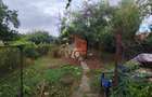 Teren 539 mp + casă bătr&acirc;nească de v&acirc;nzare &icirc;n zona Girocului - 5