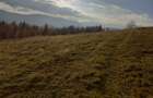 Vind casă și teren în satul Costești, comuna Albac județul Alba   - 9