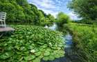 Domeniu de 30.000 mp + lac propriu +Vila protocol + Special - 1