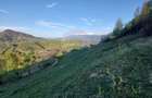 Teren 2,227mp Pestera / acces din Strada Principala - 1