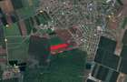 Teren intravilan 13.500 mp Dascalu - Padure Runcu - 3
