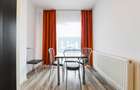 Apartament langa Iulius Mall - 15