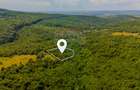 Teren 6,572 mp/Grid/ Comision 0% Intravilan/Construibil - 1