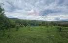 Teren 5,350mp Dobreni / Strada Manastirea Horaita - 11