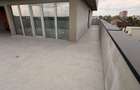 PENTHOUSE-bloc NOU!FINISAT COMPLET LA ALEGERE-AP 4 camere-Raul Doamnei - 8
