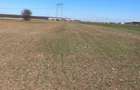 Vanzare | Teren Intravilan 10.759 mp | Str. Viitorului | - 3