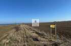 Teren intravilan 47.400 mp, Vama Veche, 200 m de Marea Neagra - 8