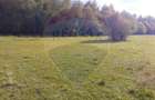 Teren extravilan Rasnov , Glajerie-Str Poiana velicanului, 1100mp - 3
