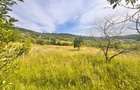 Oportunitate investiție! Teren 2.200 mp, Valea Budacului - 4