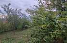 casa - 24 ari de teren - Valea Ghinzii - 8
