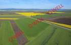 5 terenuri agricole de vânzare în Sântionlunca! - 6