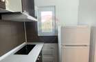 Apartament cu 1 camera de inchiriat in Micalaca - 5