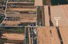 Teren intravilan 12.500 mp – Dragomirești Vale, Str. Lalelelor - 1