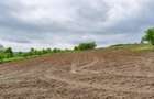Casă din chirpici, bucătărie de vară și 1.34 ha de teren, Ardeoani - 19